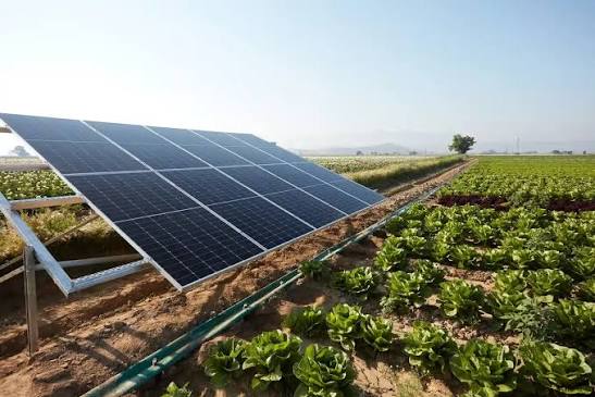 Sistema de energia solar em propriedade rural